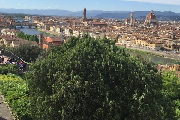 K Florenz   4